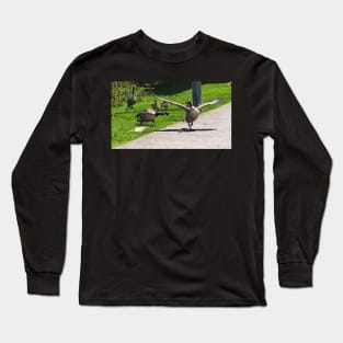 Canada Goose Honking At Other Goose, Wings Spread Long Sleeve T-Shirt